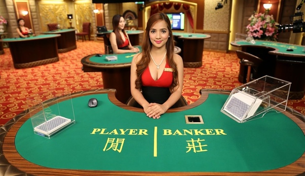 casinos agencies